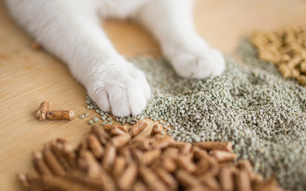cat litter