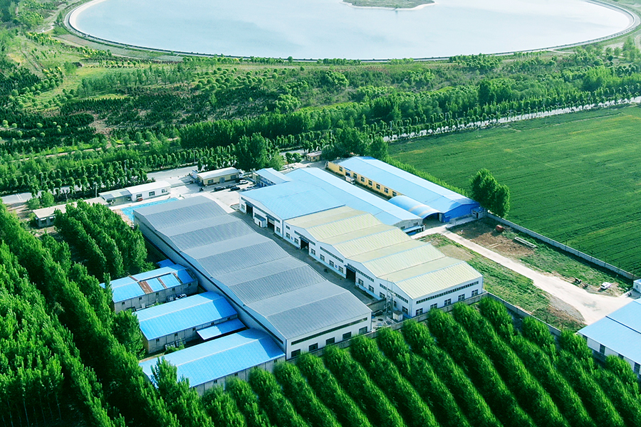 cat litter factory