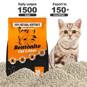 Premium Bentonite Cat Litter