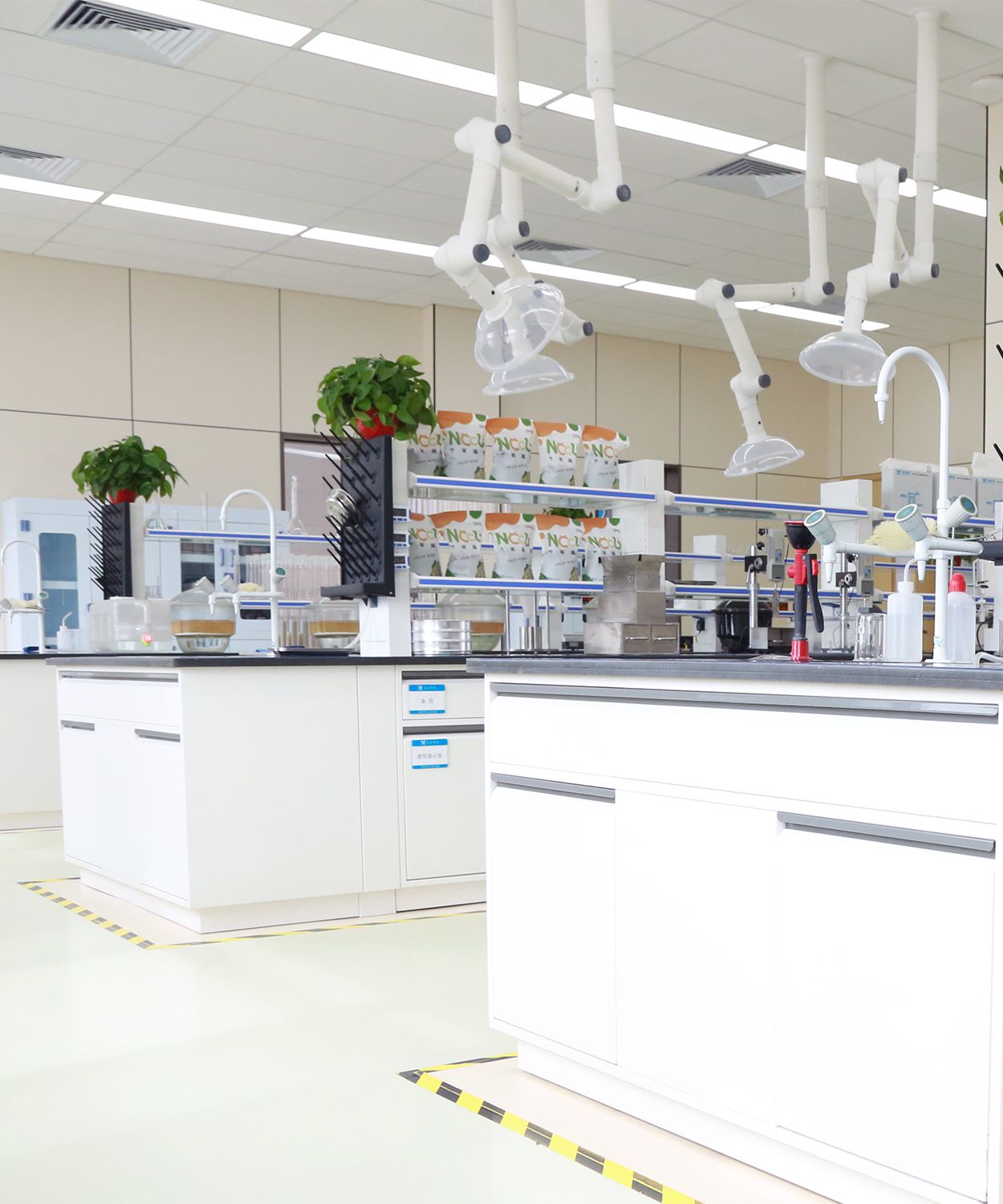 R&D Testing Laboratory